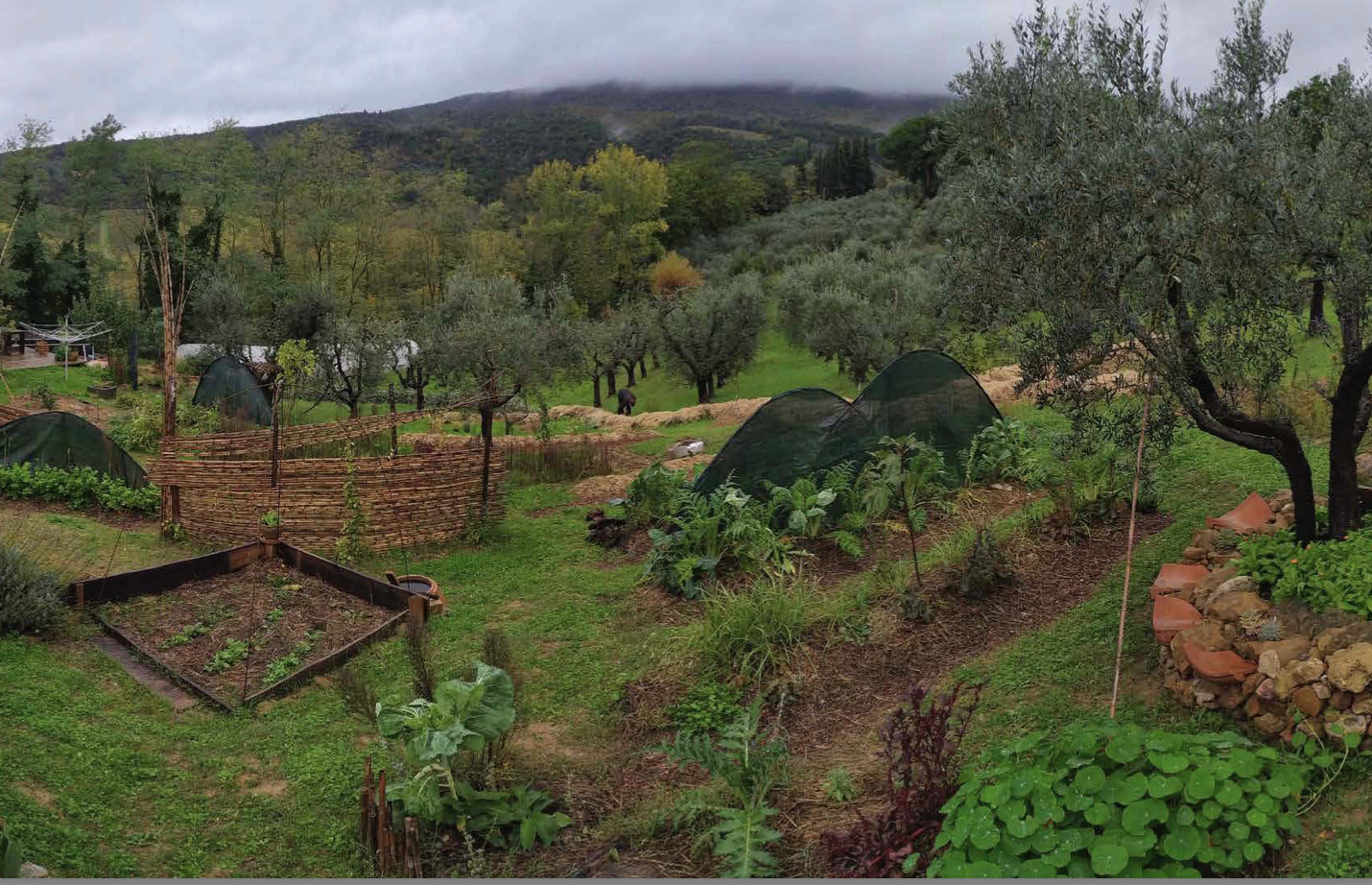 Il giardino commestibile di Saviana Parodi