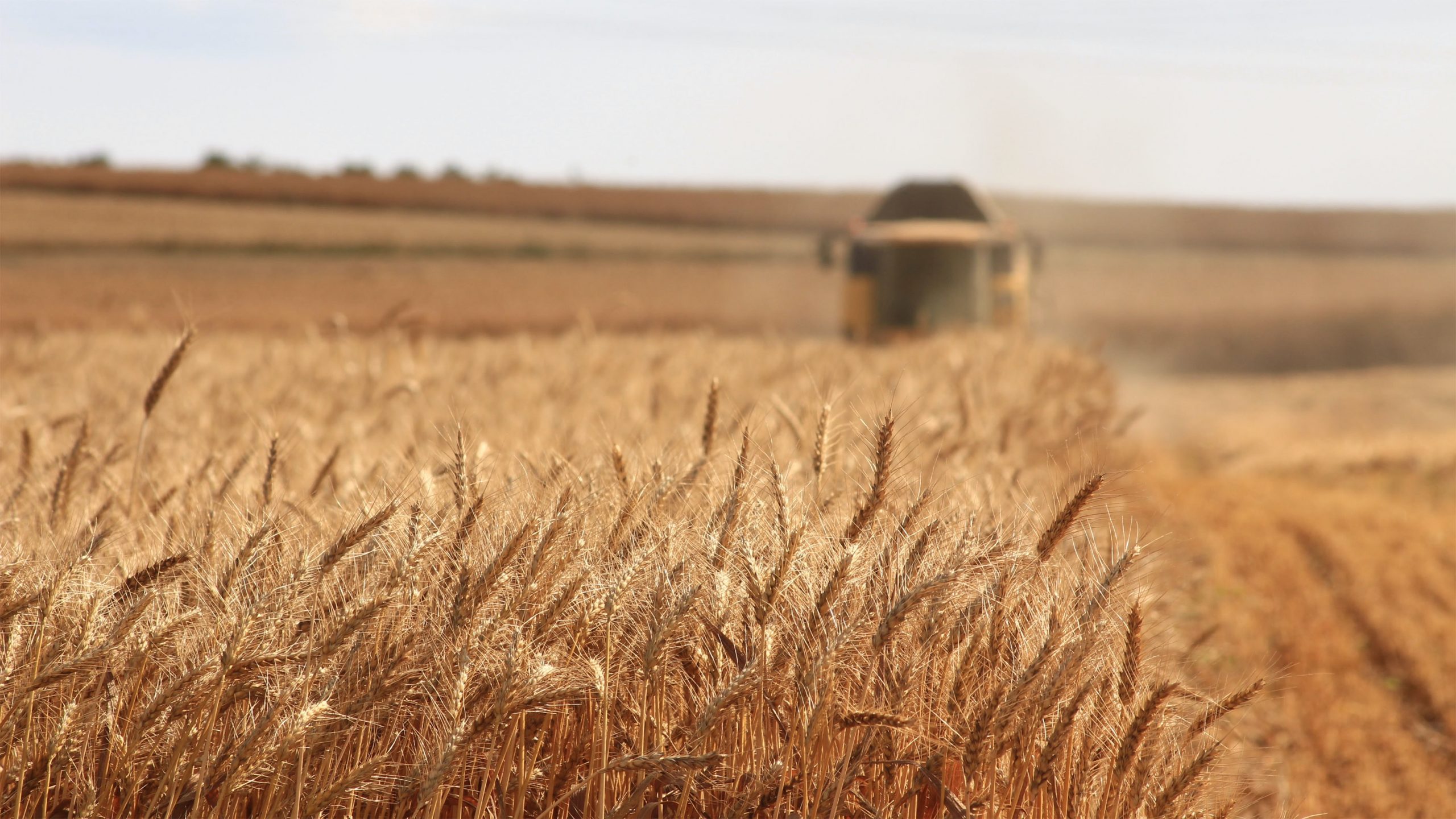 L'agricoltura industriale si ribella a sé stessa