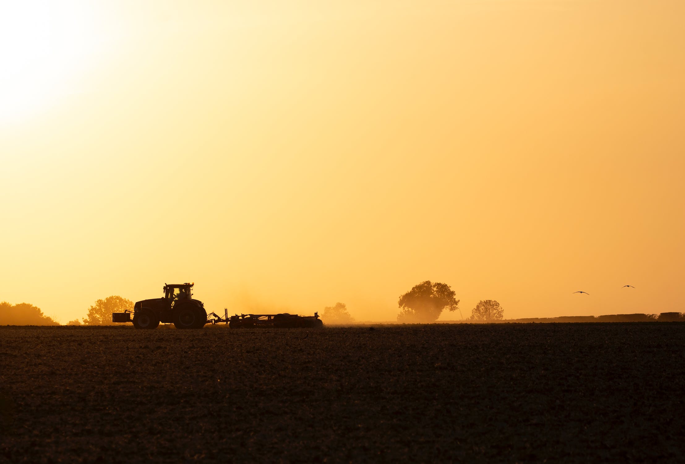 I trattori dell’ultima generazione: ha vinto l’agrobusiness che avvelena, i pesticidi sono serviti in  tavola
