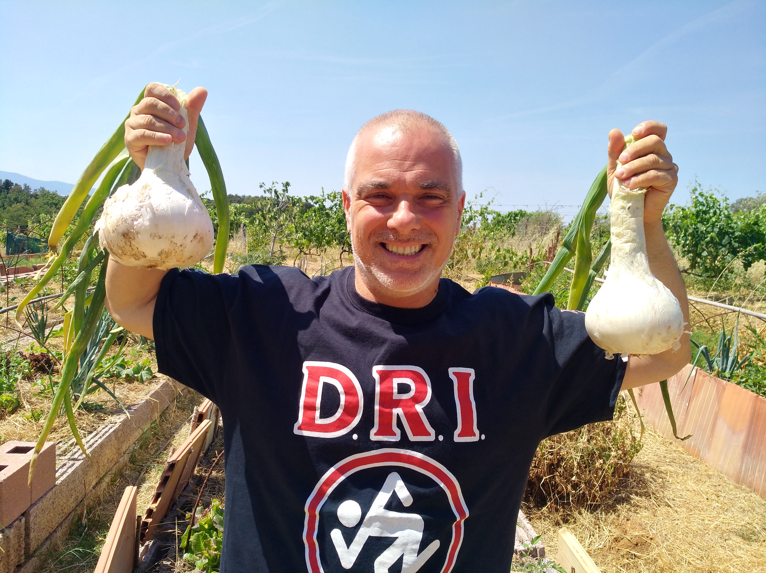 Orti autoirriganti e agricoltura leggera: raccolti abbondanti, aumento della qualità di vita e risparmio di soldi,  di lavoro e di acqua