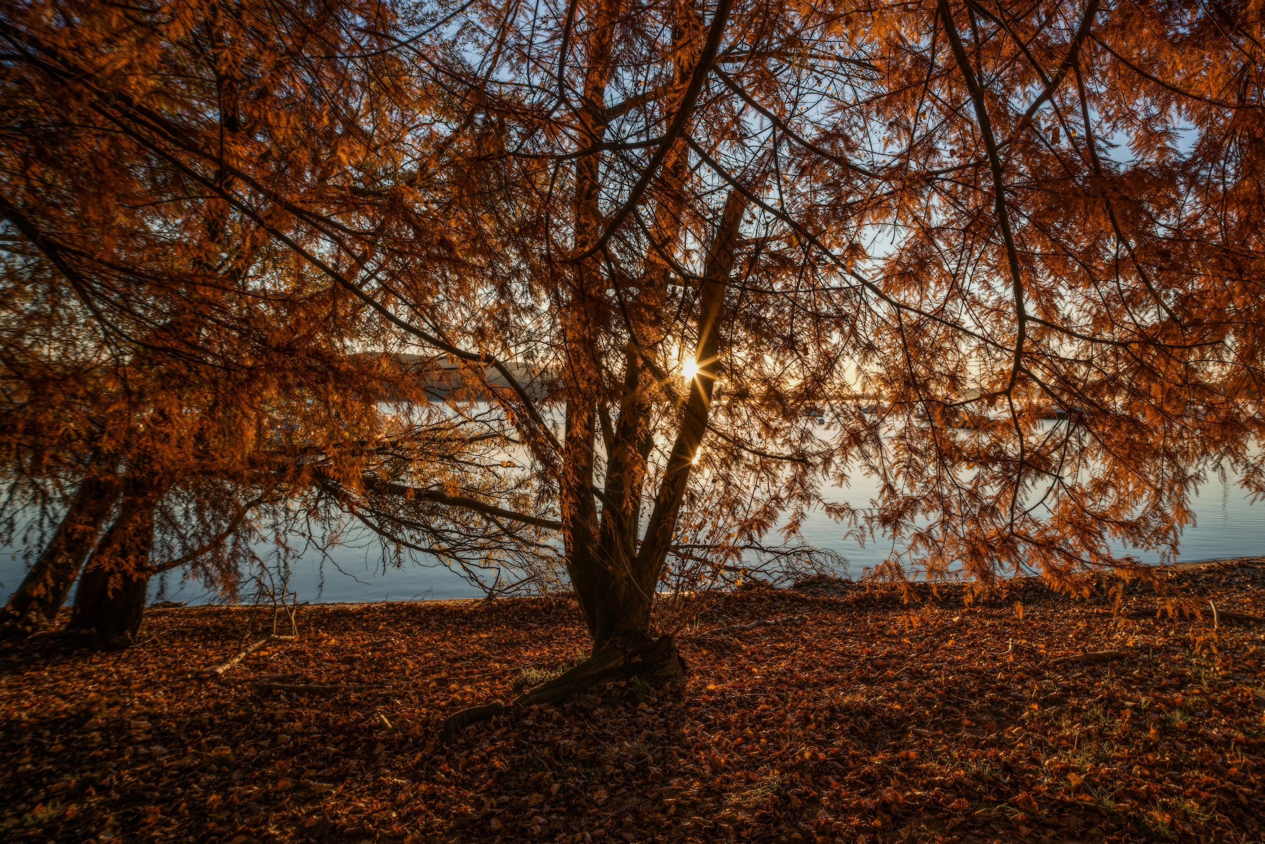 Il boomerang del fango gettato sulla famiglia che vive fuori dal 