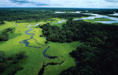 Brasile: contro la deforestazione, l'Amazzonia protetta per legge