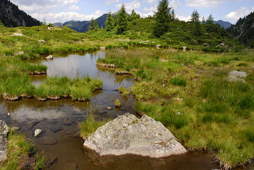 Giornata della biodiversità, ieri in migliaia nelle Oasi Wwf