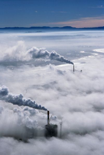 Emissioni, per WWF le attuali politiche di riduzione non bastano