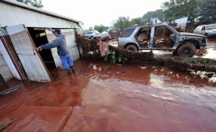 Ungheria, moria di pesci nel Danubio. Sale l'allarme