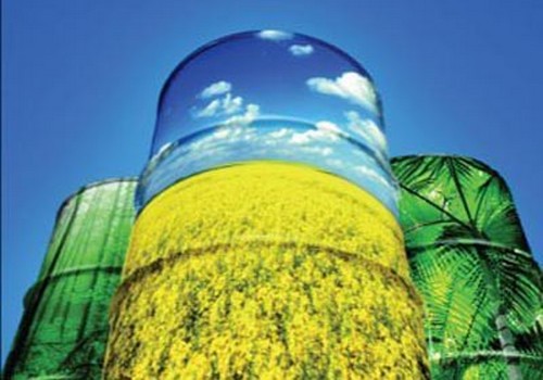 Biocarburanti: quali i rischi per l'ambiente?