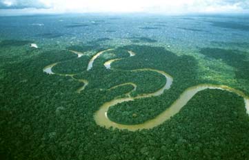 Amazzonia: la legge brasiliana che fa discutere