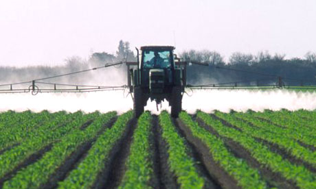 Chiesto il ritiro del decreto che autorizza l'uso del pesticida pericoloso