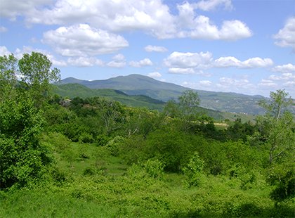 Geotermia, i soldi di Enel sull’Amiata. Aspettando Bagnore 4