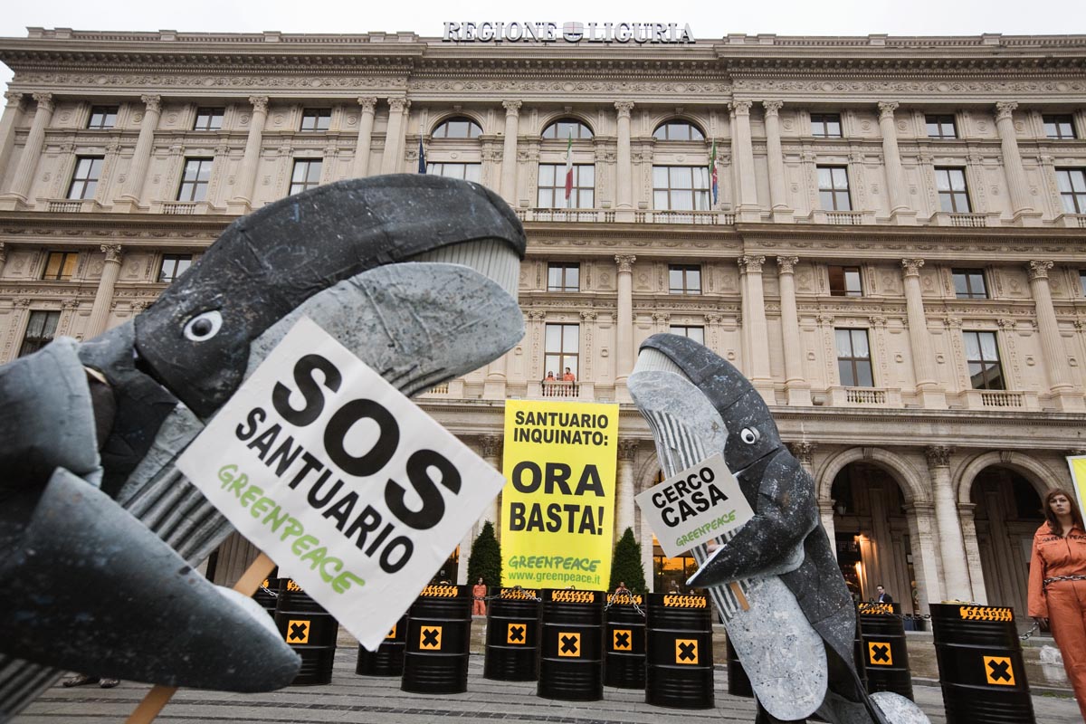 Liguria e Toscana si impegnano per salvare il Santuario dei Cetacei