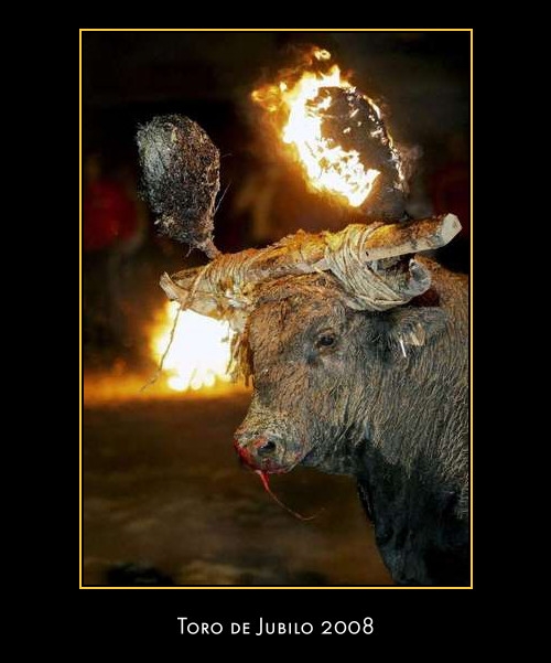 Spagna, fermare la festa cruenta del Toro di fuoco