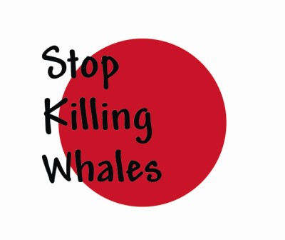Anti-whaling Day. Il 5 novembre a Roma  sit-in per fermare la caccia alle balene