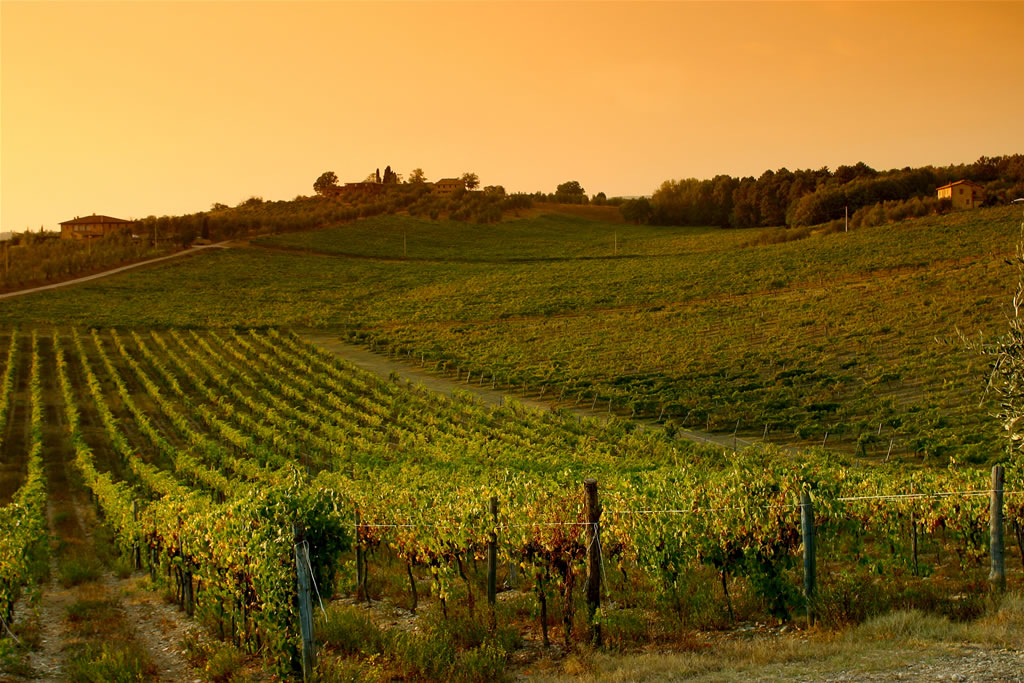 Quando il pensiero ambientalista incontra il Chianti