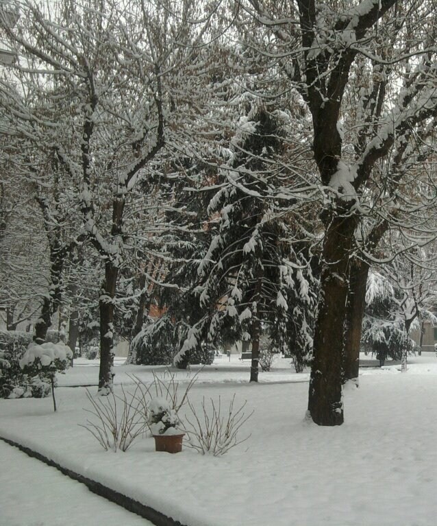 Gelo e neve a febbraio. La stupidità umana è contro (la) natura