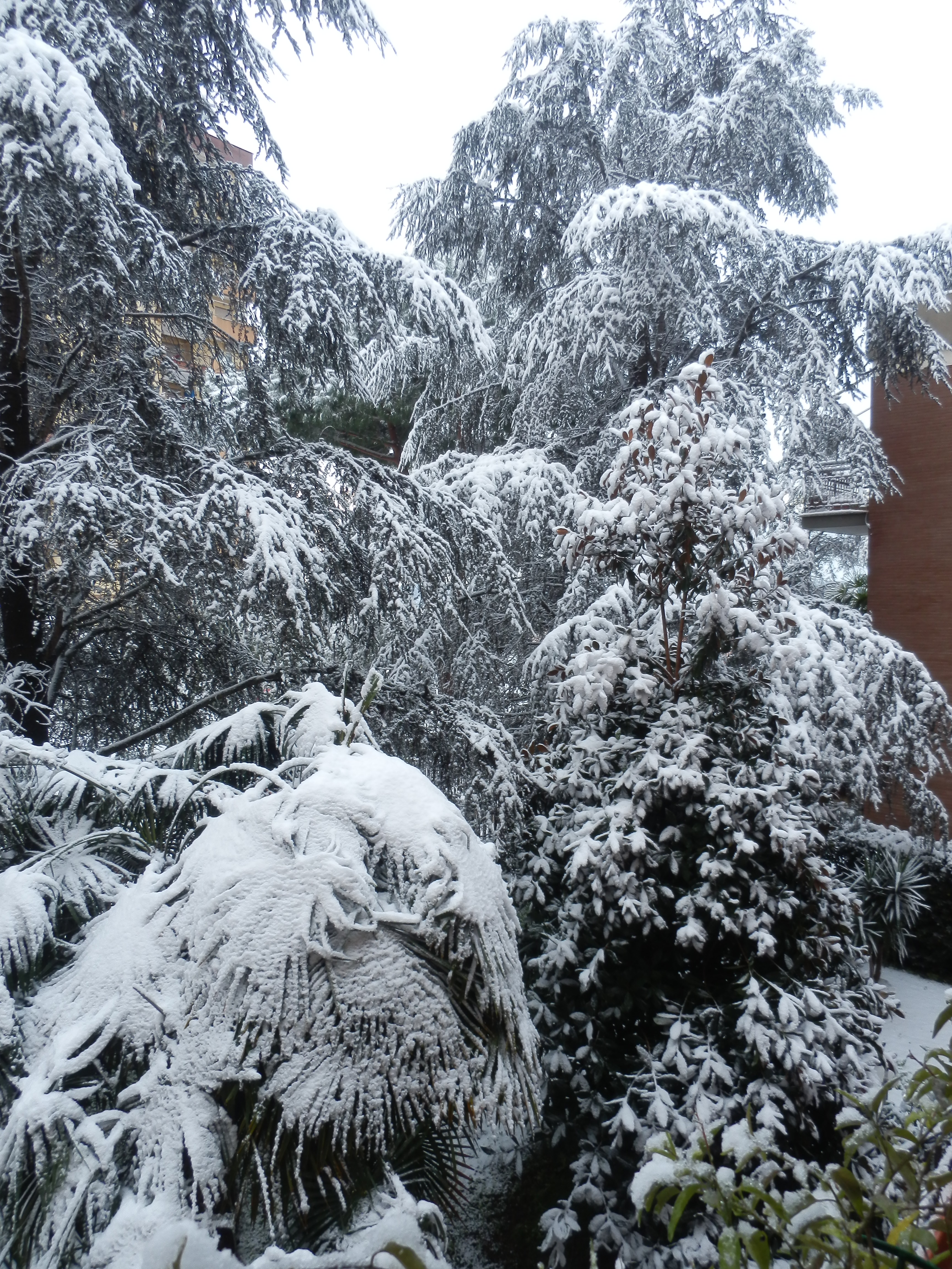 Neve e gelo. Quando la natura diventa 'una drammatica calamità'