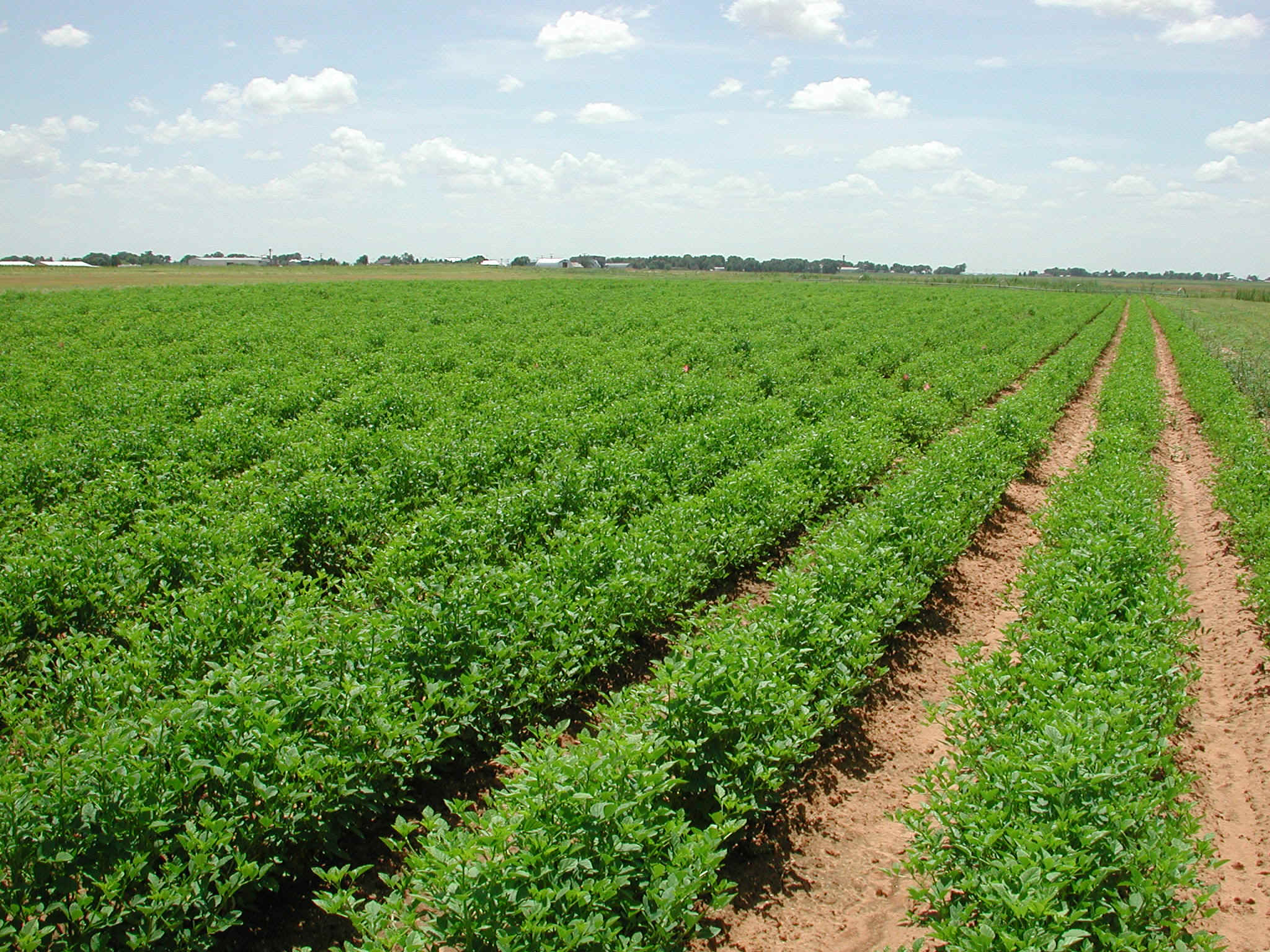 Imu agricola. Per AIAB le modifiche sono ancora insufficienti