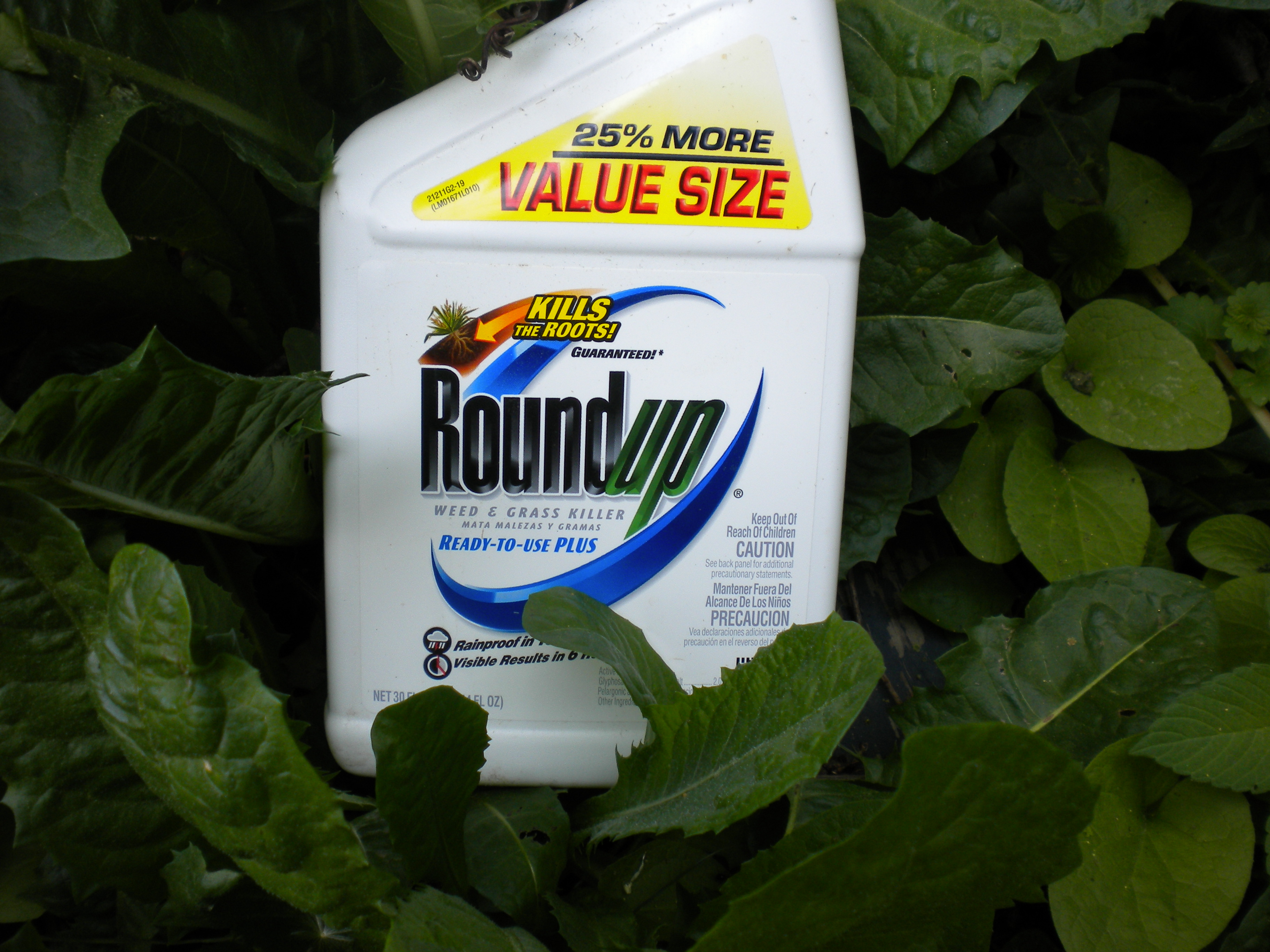 Pesticidi: Roundup causa mutazioni genetiche negli anfibi