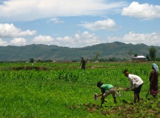 Contadini del mondo in lotta contro il land grabbing. 250 le iniziative