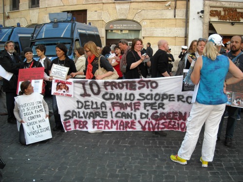 Green Hill, ieri migliaia in 50 piazze. La protesta continua