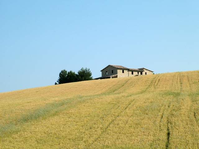 Diventare agricoltori? Ecco come. La guida di Coldiretti per i 'giovani'