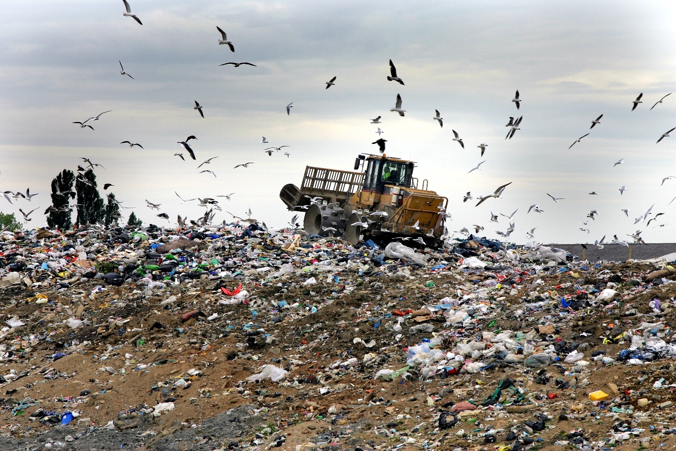 Rapporto Ispra: gli italiani producono sempre più rifiuti