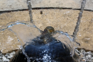 Acqua: Roma in frenata sulla privatizzazione. Nel Lazio parte il referendum