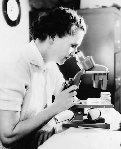 Rachel Carson e la sua “Primavera silenziosa”: 50 anni di ambientalismo