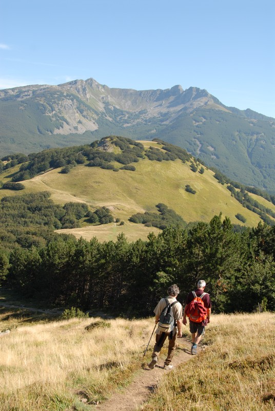 Appennino tosco-emiliano. Diventare custodi del proprio territorio