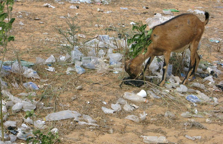 La Mauritania mette al bando i sacchetti plastica