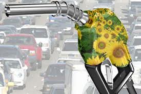 Esiste un futuro per i biocarburanti?