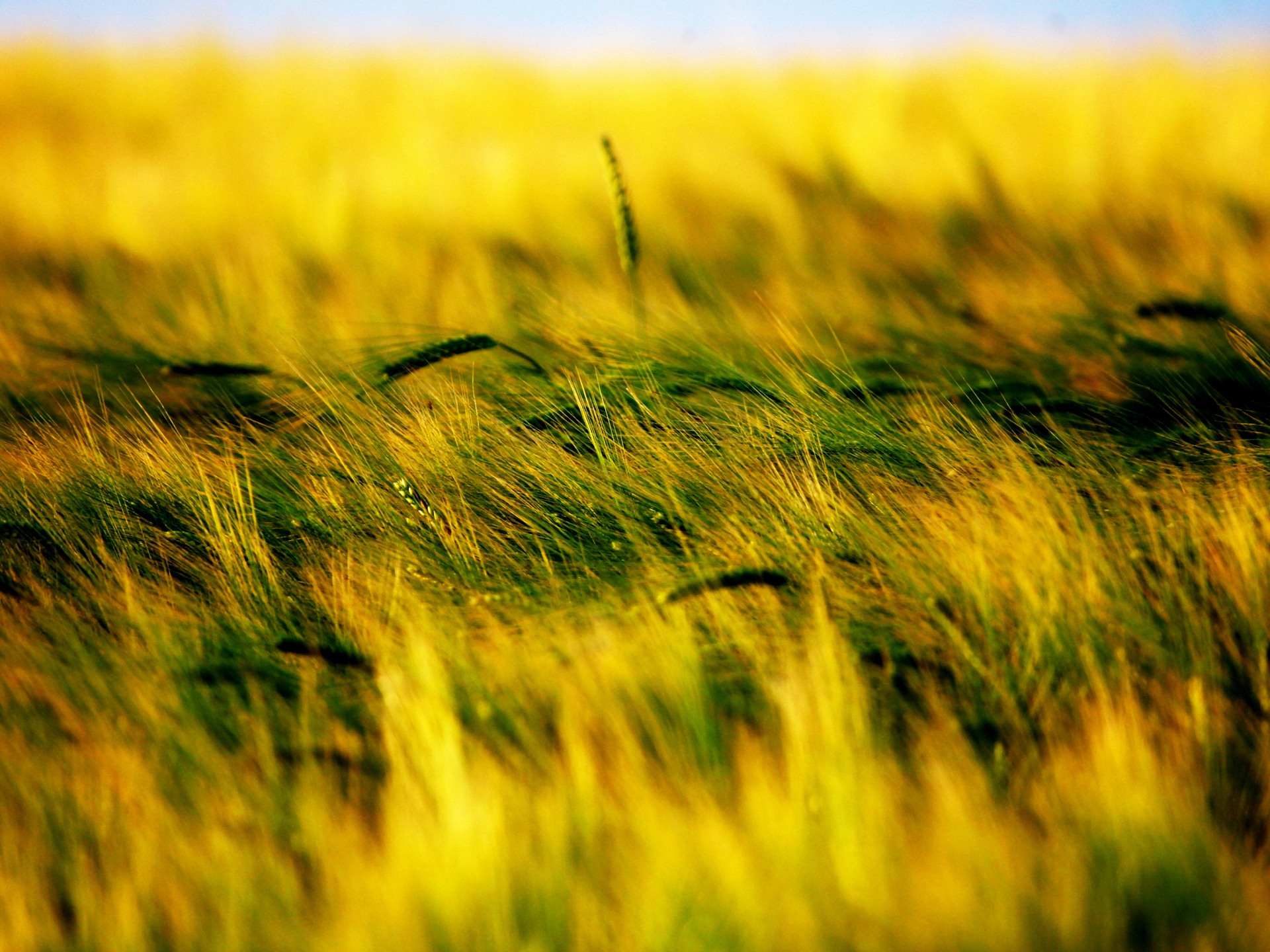 Marcia per la terra, in cammino per la difesa del suolo