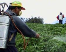 Agricoltura, cala l'uso di fertilizzanti: -9,6% nel 2009 