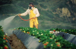 Pesticidi, Ispra: 
