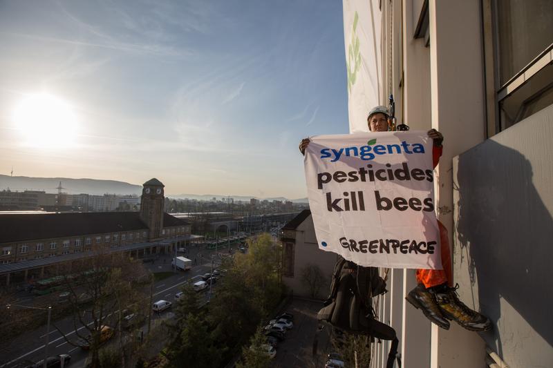 Greenpeace in azione: 