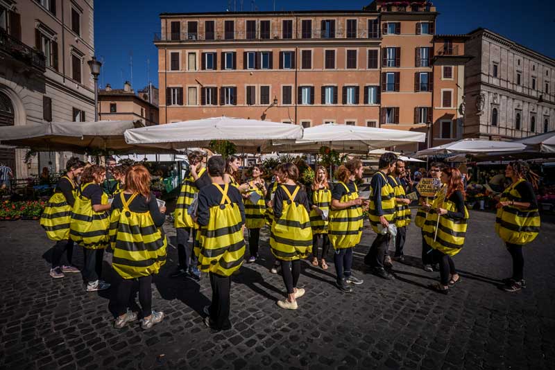 “Basta ai pesticidi killer”: api attiviste in tutta Italia