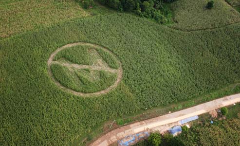 OGM: Monsanto rinuncia a coltivazione in Europa