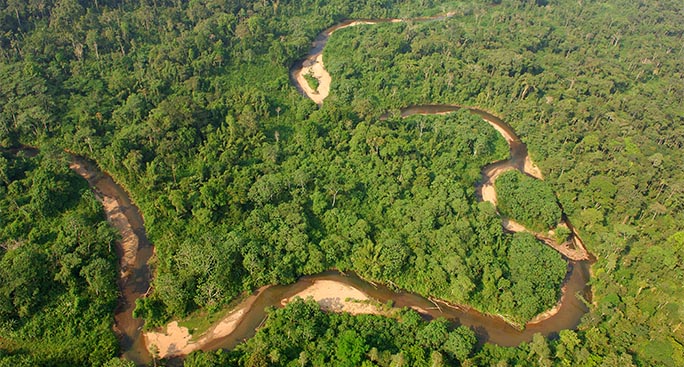 Trivellazioni nel Parco Yasunì: addio al piano per salvare gli ecosistemi dell'Ecuador