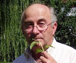 Piante che curano e piante proibite, la “Dulce Revolución” di Josep Pàmies 