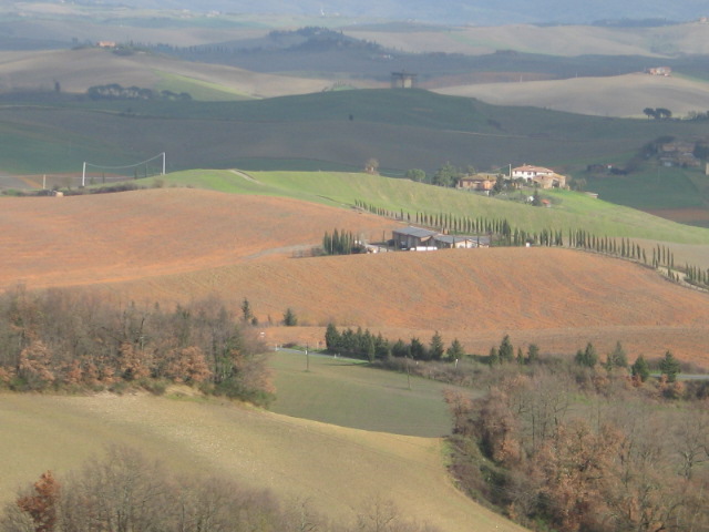 Campi rossi nel senese. I residenti: “Temiamo sia per i diserbanti”