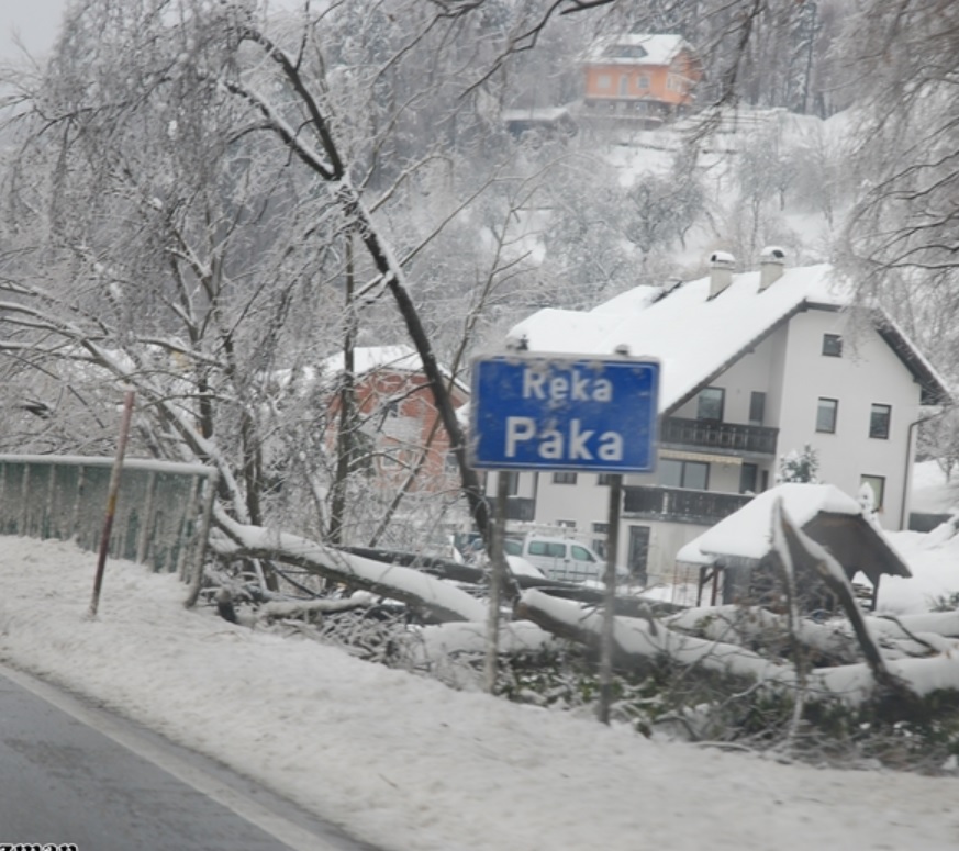 Gelicidio in Slovenia: le foreste distrutte