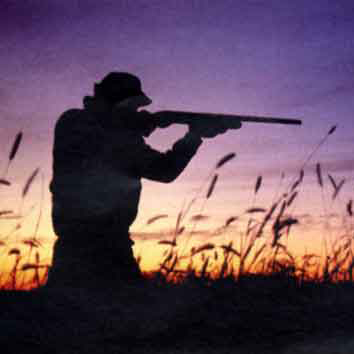Un decreto autorizza la caccia nei Pantani della Sicilia sud orientale