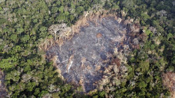 Collaborare per salvare l’Amazzonia si può, ma serve l’aiuto di tutti