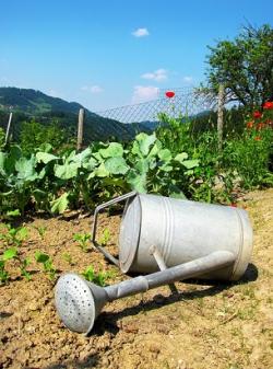 Agricoltura naturale come scelta di vita. Sviluppi e progetti dell'associazione Wwoof 