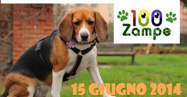 100 Zampe: i cittadini adottano il verde pubblico per i cani di Roma