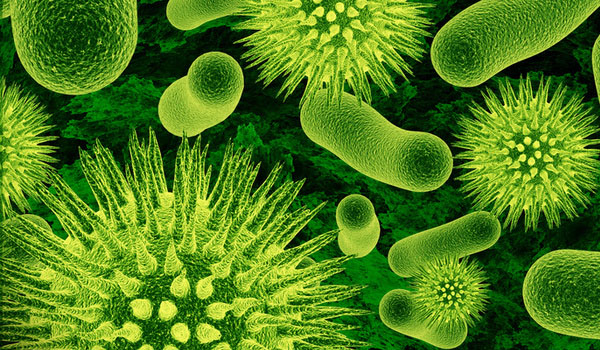 Trovati nel cibo super batteri resistenti agli antibiotici