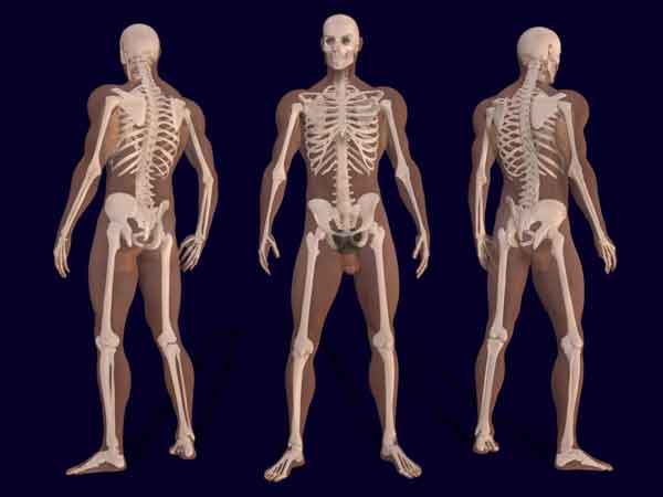 Densità ossea: l’escamotage per produrre nuovi malati
