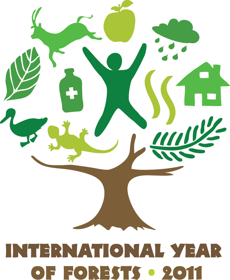 L'Onu proclama il 2011 Anno internazionale delle foreste