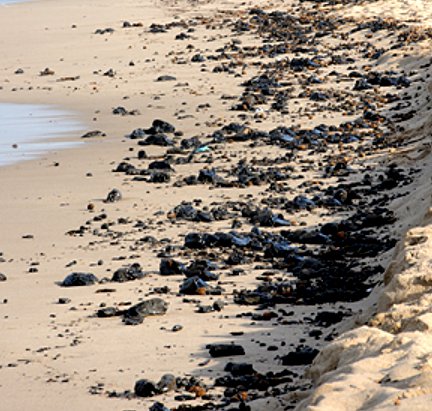 Porto Torres, il silenzio copre la marea nera