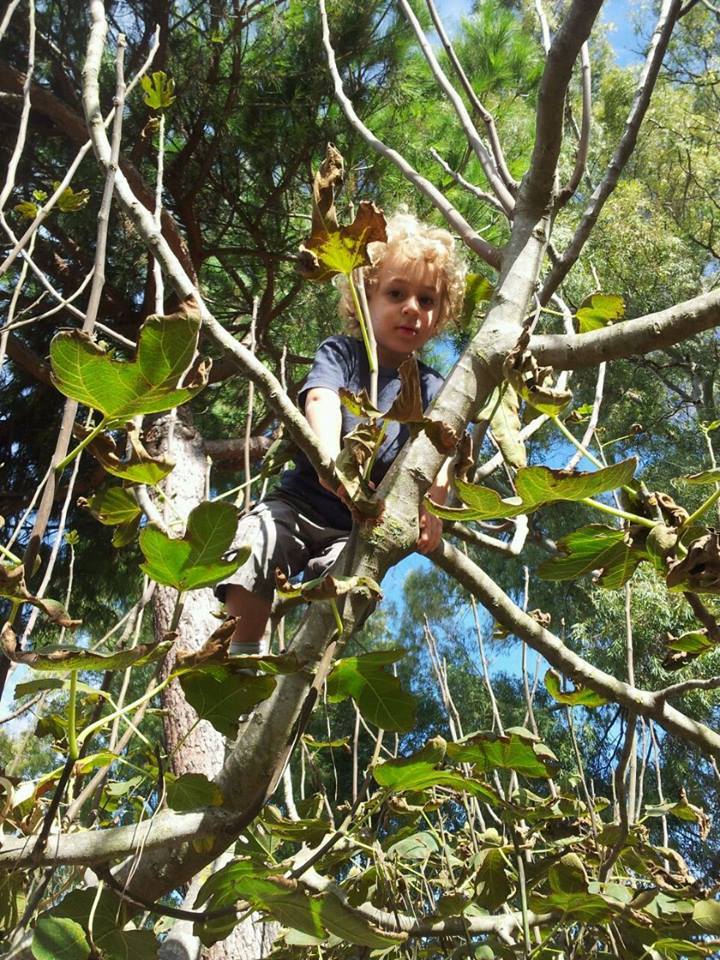 Asilo nel bosco: prima esperienza in Italia