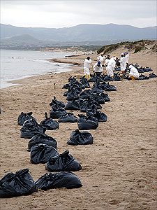 Disastro ambientale a Porto Torres: la marea nera si  espande